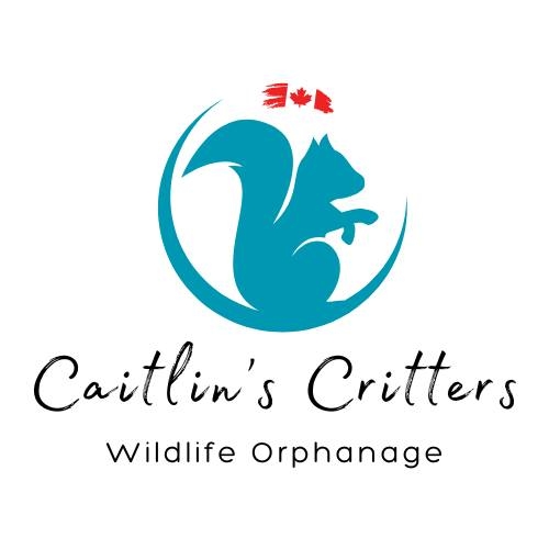 Caitlin's Critters Wildlife Orphanage