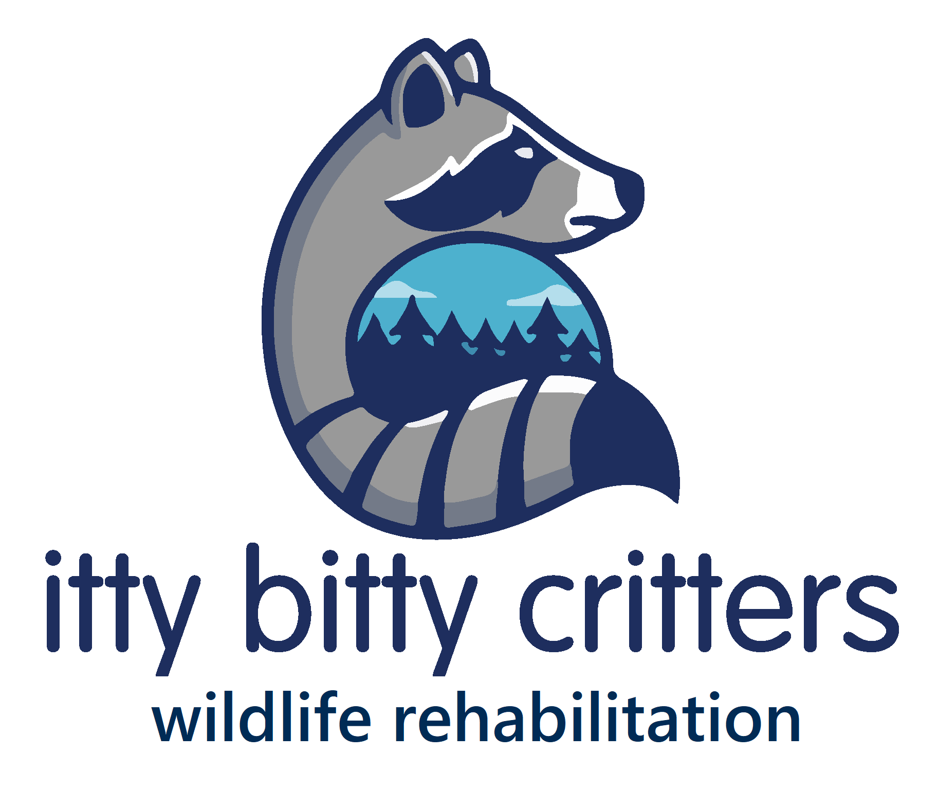 itty bitty critters wildlife rehabilitation