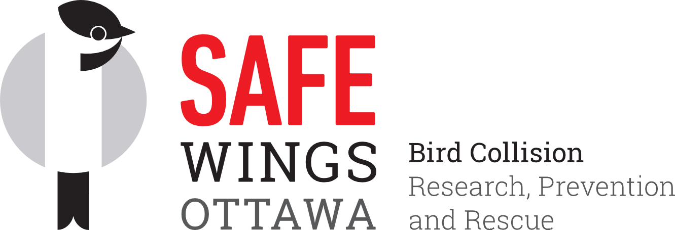 Safe Wings Ottawa