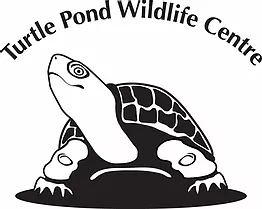 Turtle Pond Wildlife Centre