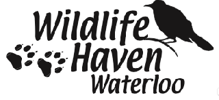 Wildlife Haven Waterloo